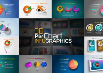 3D Pie Chart Infographics