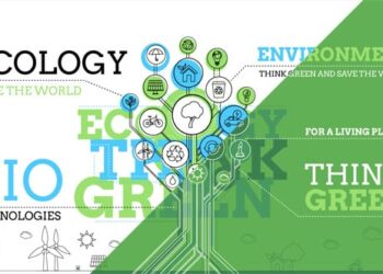 Ecology Infographics